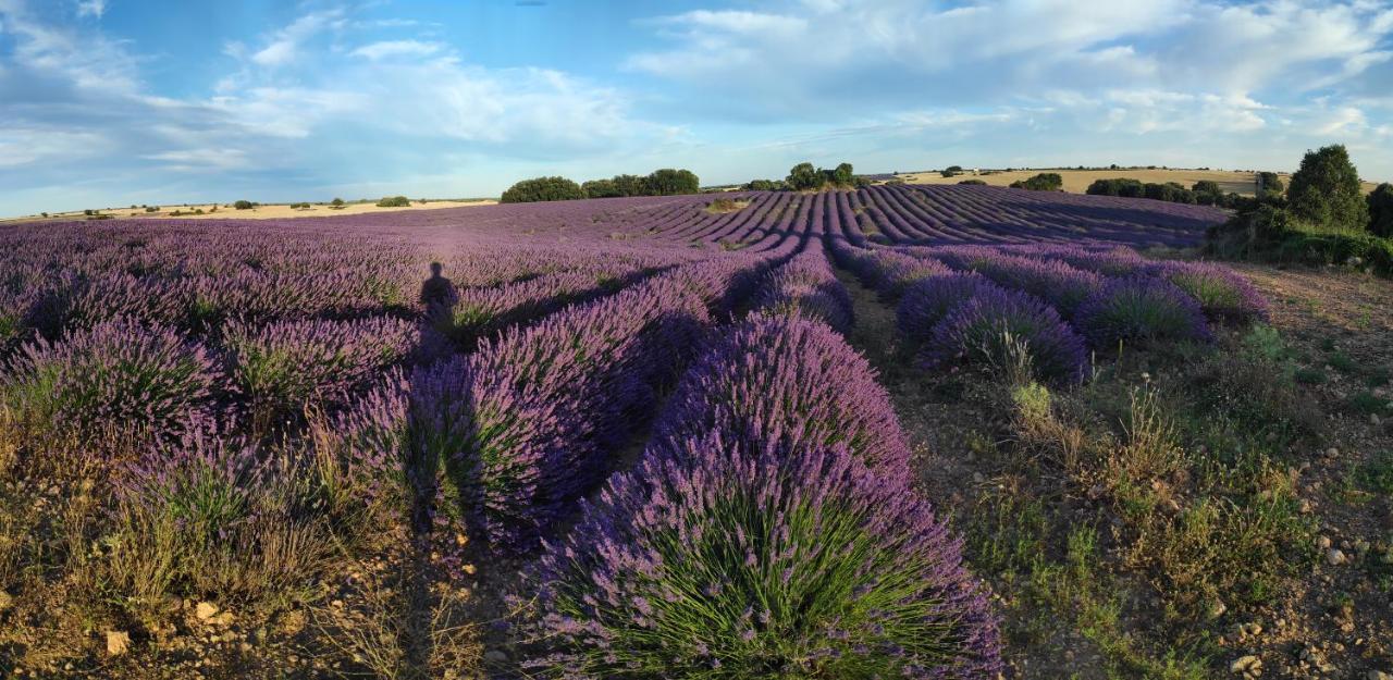 Caspueñas Casa Rural El Eden Del Ungria מראה חיצוני תמונה
